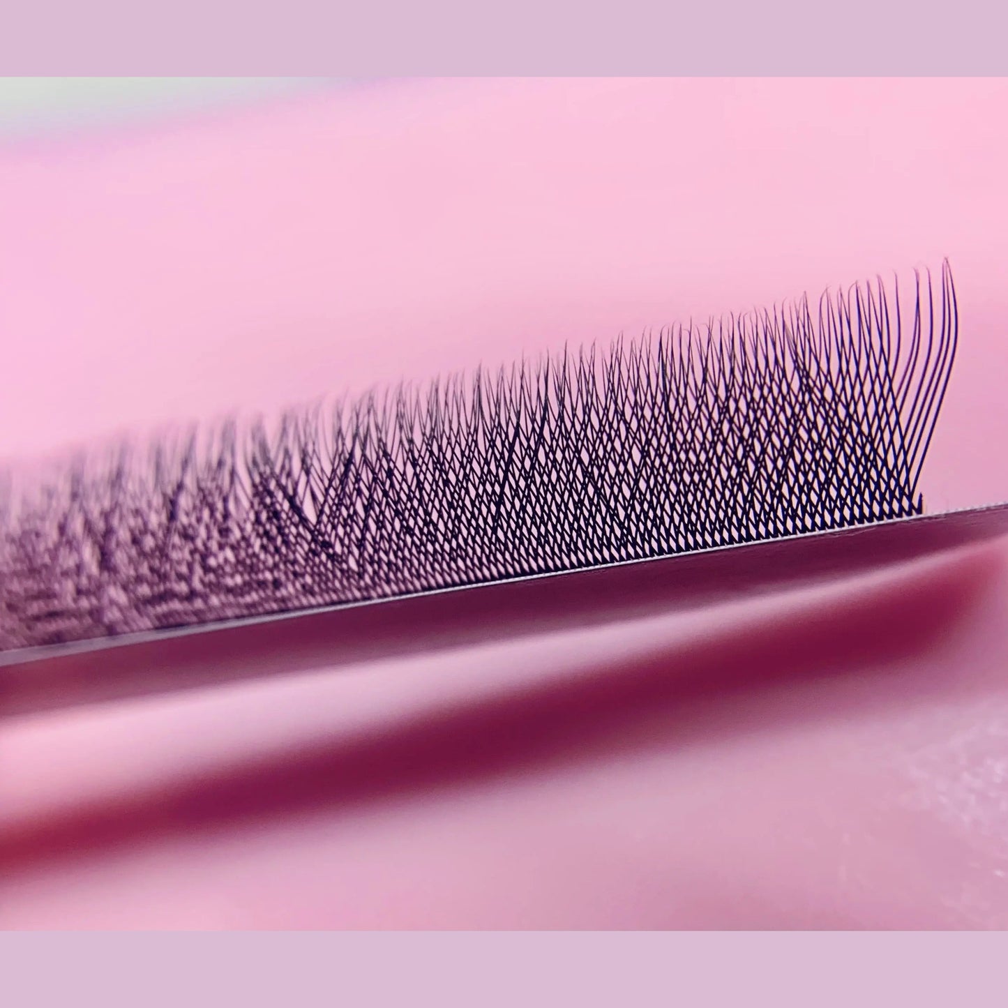 Extensions de cils W3D