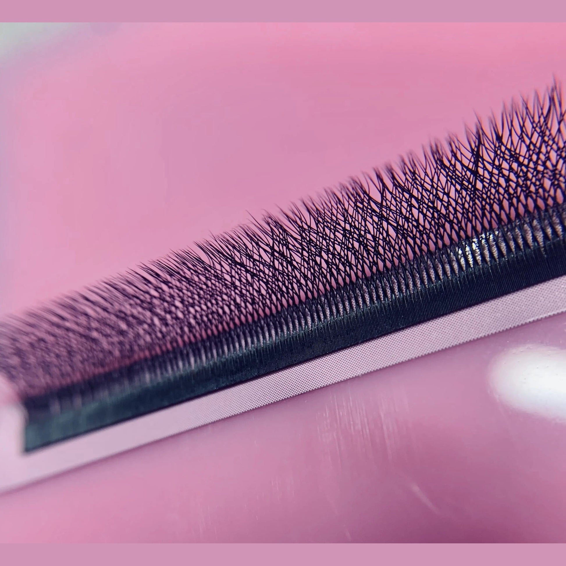 Extensions de Cils W5D