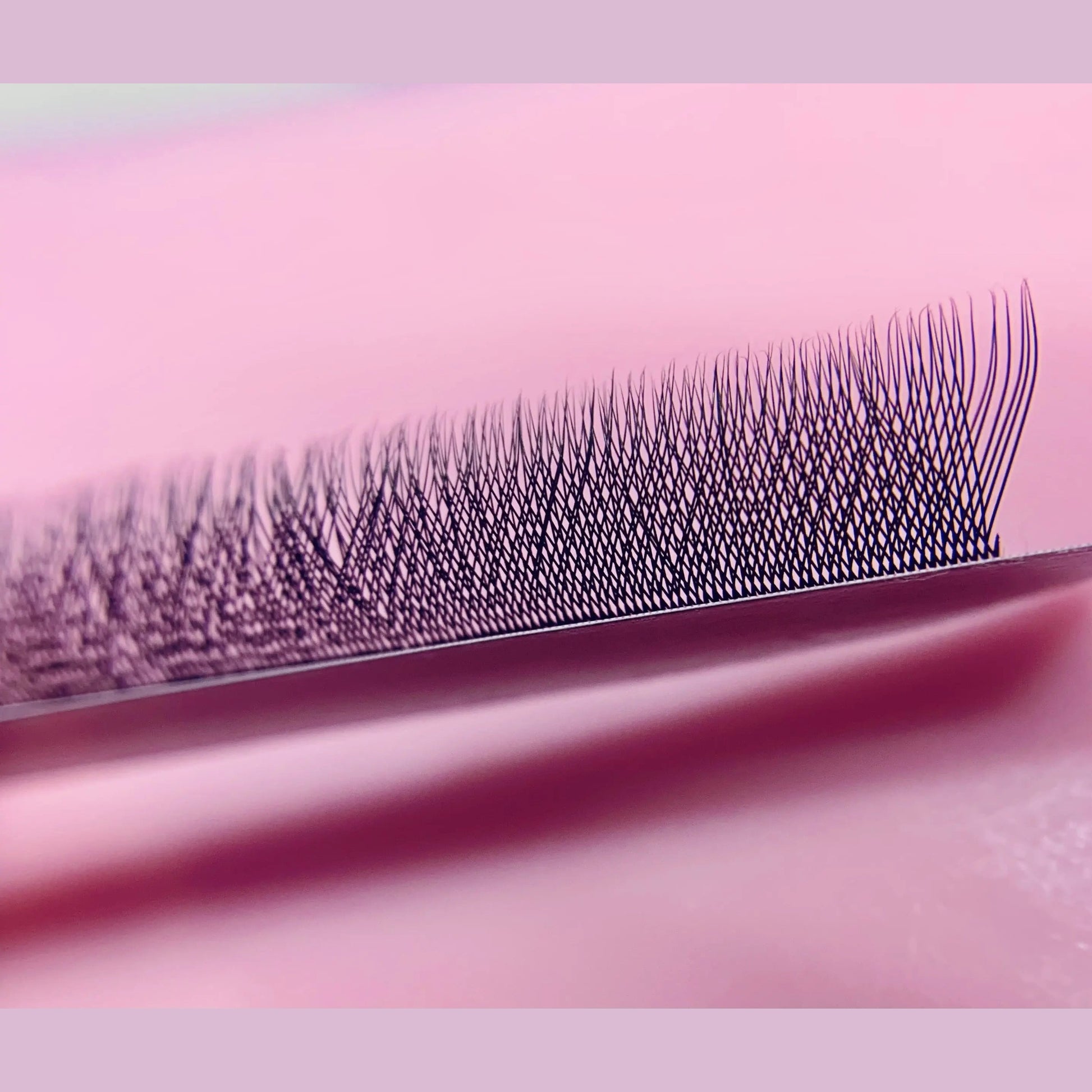 Extensions de cils W3D